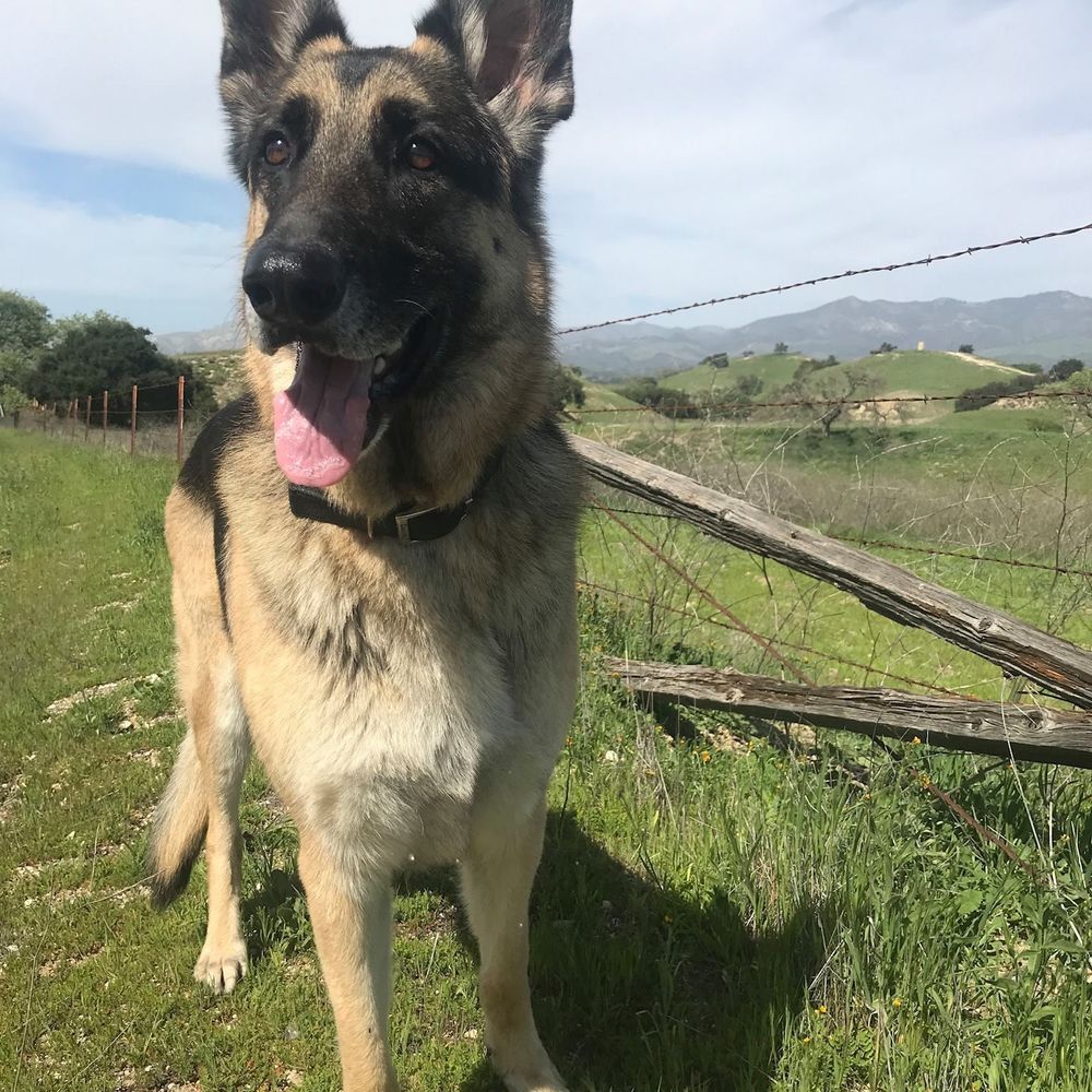 Meet your Posher, Natasha